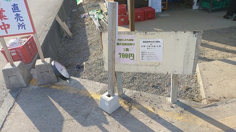 KIMG20251029_153506371