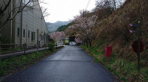 KIMG20260407_123633282