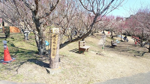 KIMG20260218_124357479