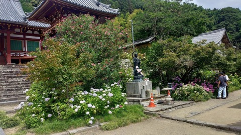 KIMG20260618_100004003