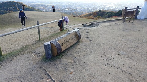 KIMG20251119_152441576