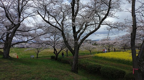 KIMG20260331_104704189