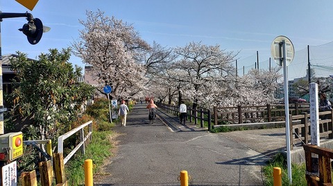 KIMG20260403_082609466