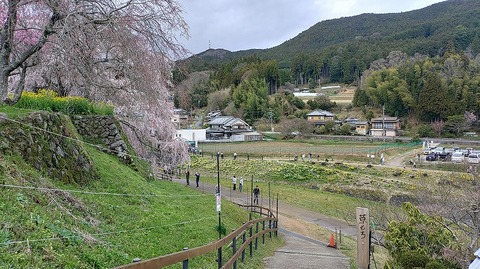 KIMG20260331_112730034