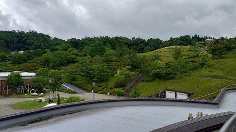KIMG20260704_113748391