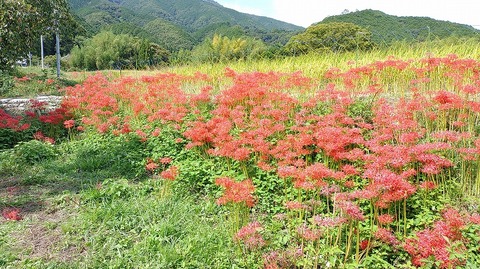 KIMG20251002_111158048