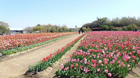 KIMG20260408_095902565