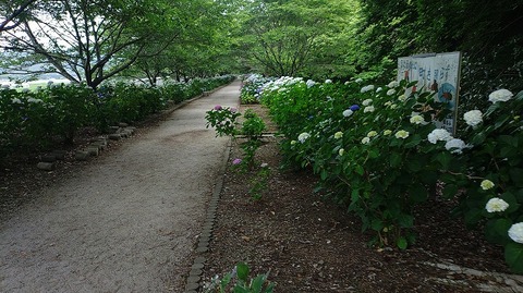KIMG20260601_150913029
