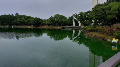 KIMG20260730_055839158