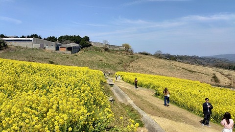 KIMG20260324_115137315