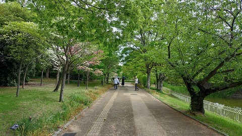 KIMG20260422_095300504