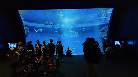 KIMG20251008_104831626