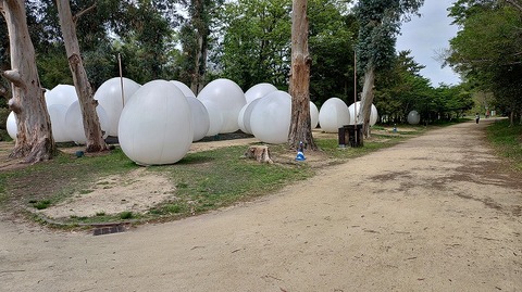 KIMG20260422_101229920