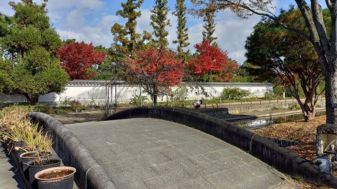 KIMG20251128_130742416