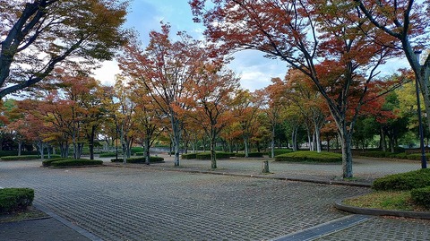 KIMG20251112_064858735