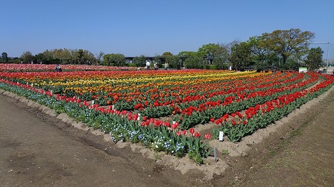 KIMG20260408_095626397