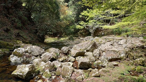 KIMG20260417_122427163