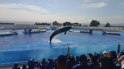 KIMG20251008_114001347