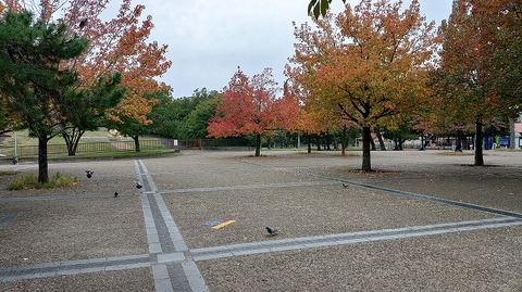 KIMG20251113_125942987