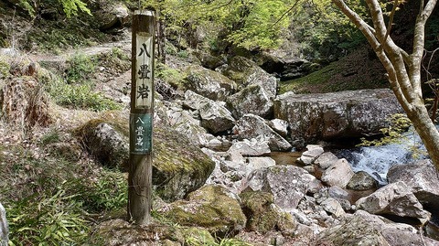 KIMG20260417_121600124