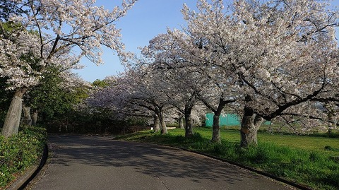 KIMG20260406_071531464