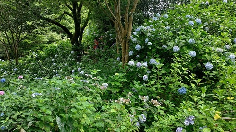 KIMG20260618_101141051