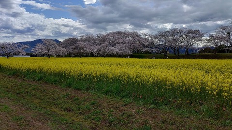 KIMG20260331_104108304