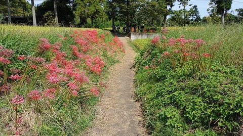 KIMG20251002_111054764