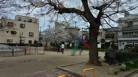 KIMG20260405_105514636