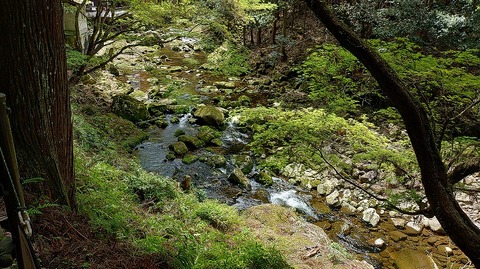 KIMG20260417_115213977