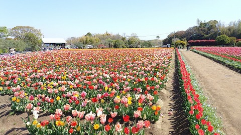 KIMG20260408_095947468