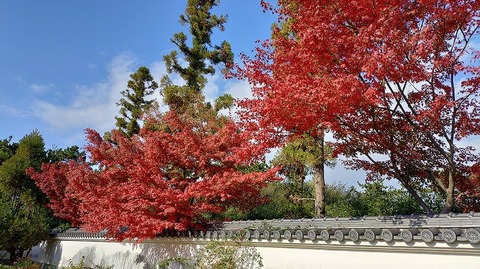 KIMG20251128_130815845