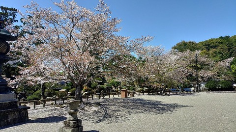 KIMG20260408_104554828