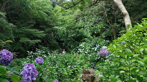 KIMG20260618_101733330