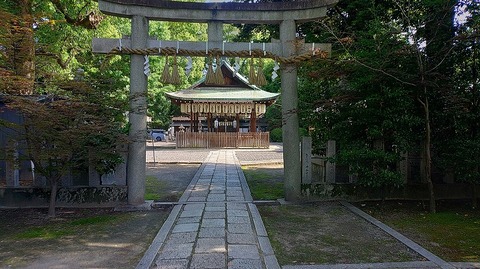 KIMG20260611_081343007