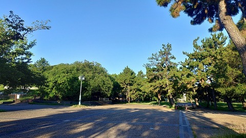 KIMG20260710_055713750