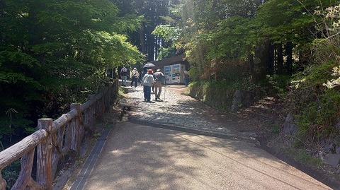 KIMG20260514_115819625