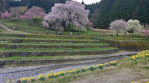 KIMG20260331_113542300