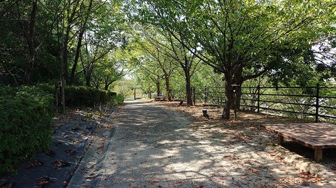 KIMG20260901_141306236