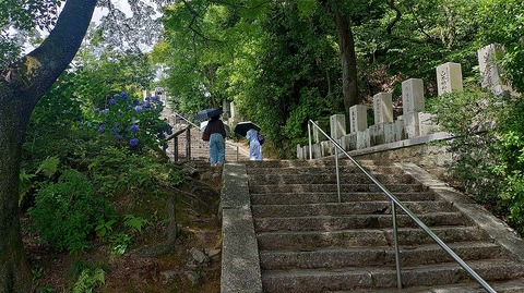 KIMG20260618_095510028