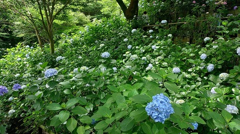 KIMG20260618_101702334