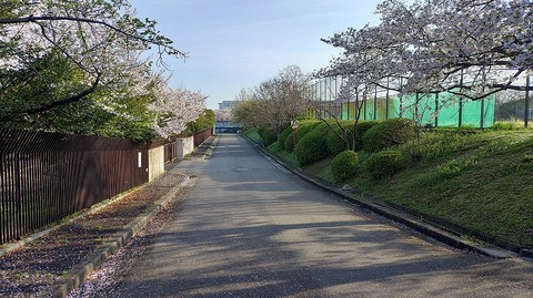 KIMG20260406_071558330