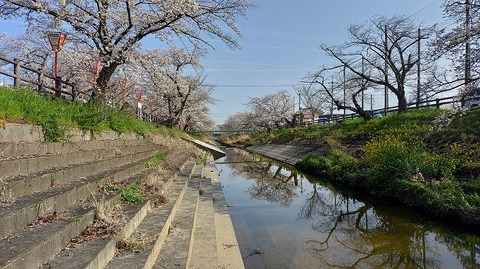 KIMG20260403_082700475