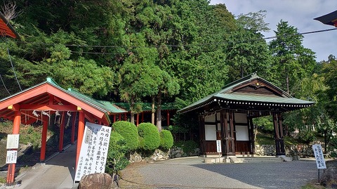 KIMG20260822_075624705