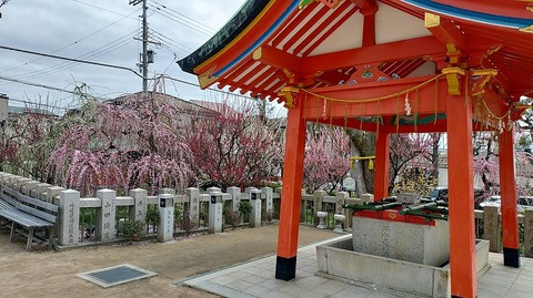 KIMG20260302_122324645