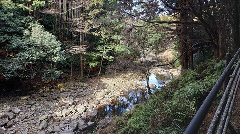 KIMG20260129_112155532