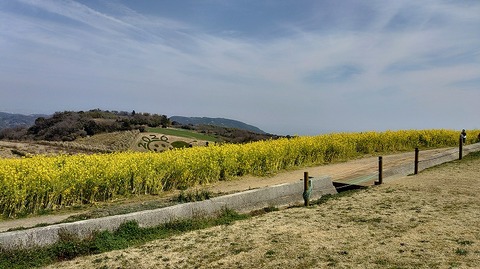 KIMG20260324_114823292