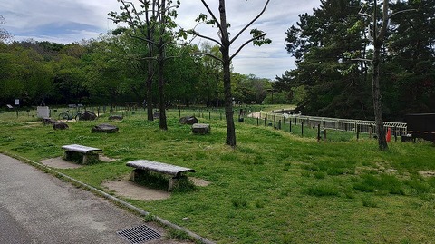 KIMG20260422_095829261