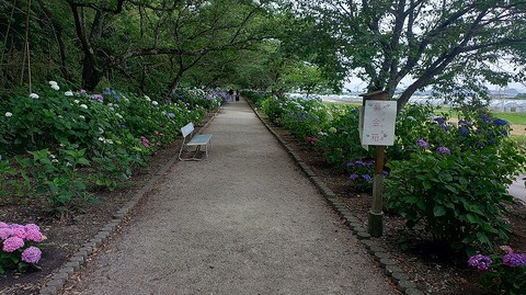 KIMG20260601_145201113