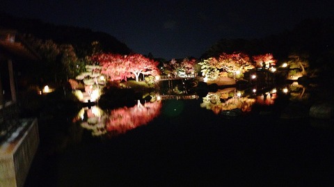 KIMG20251121_180410724